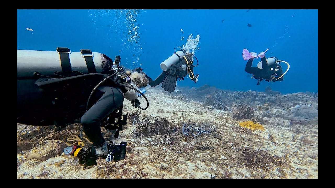 My 300th SCUBA Dive!
