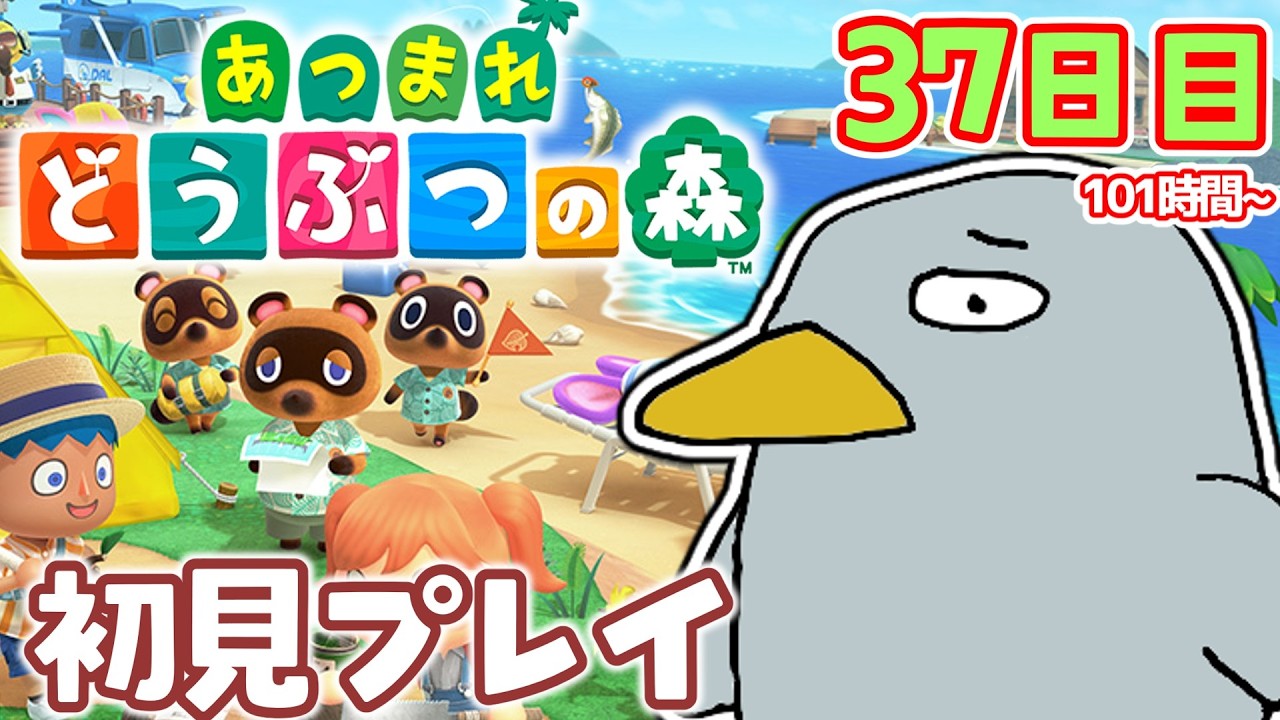 【37日目】島の方向性が定まりつつある配信 今更始まる初めてのどうぶつの森【あつまれどうぶつの森/あつ森】【ライブ/配信中】【朝活】