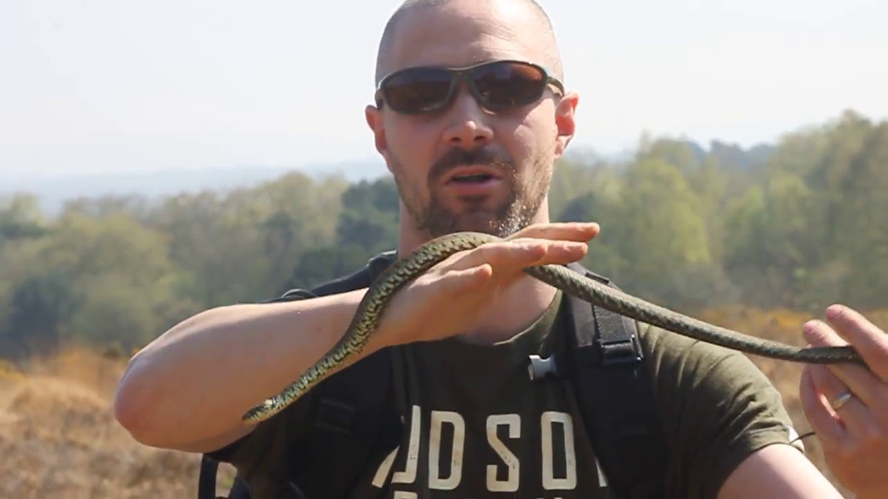 Field Herping in Dorset