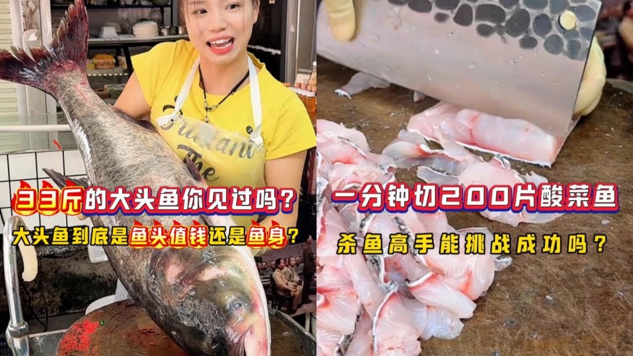33斤的大头鱼你见过吗？大头鱼到底是鱼头值钱还是鱼身？｜一分钟切200片酸菜鱼，杀鱼高手能挑战成功吗？