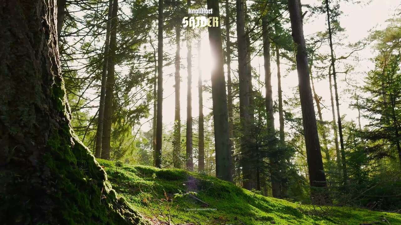 SHIDER - KNALLHART (AUDIO)