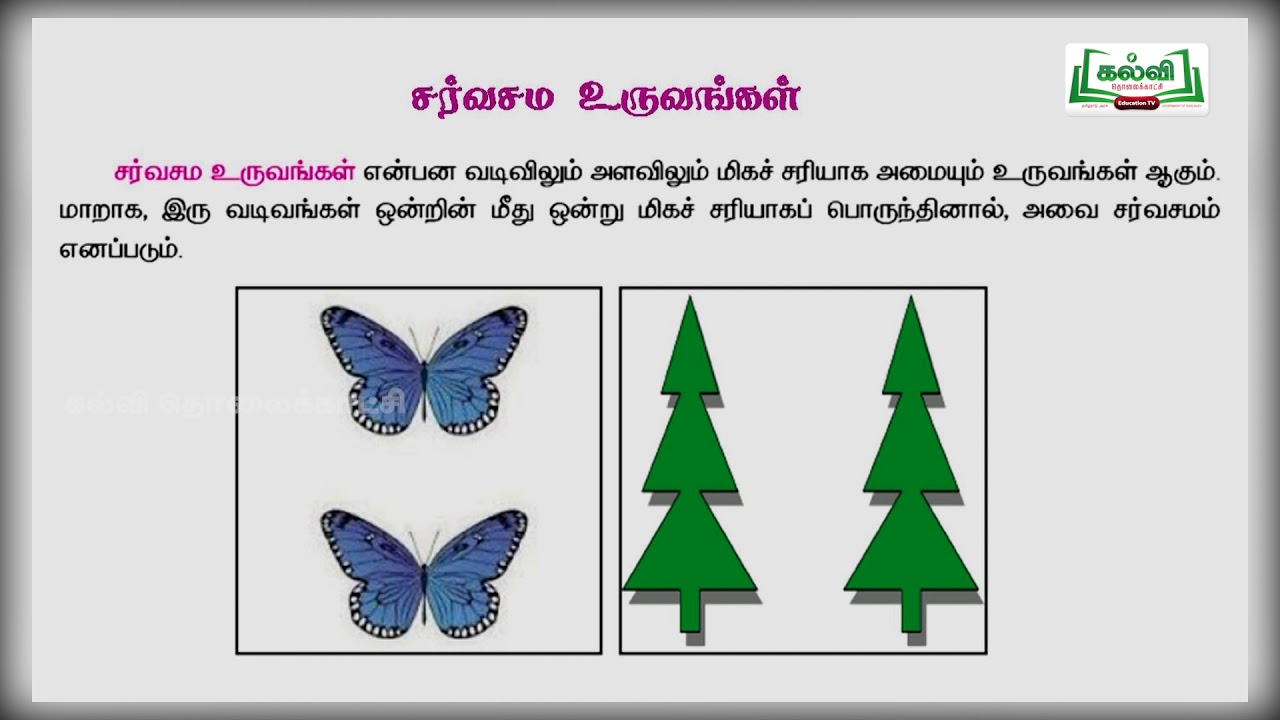 Class 8 | வகுப்பு8 | கணக்கு | வடிவியல் |  அலகு5| பகுதி1| KalviTv