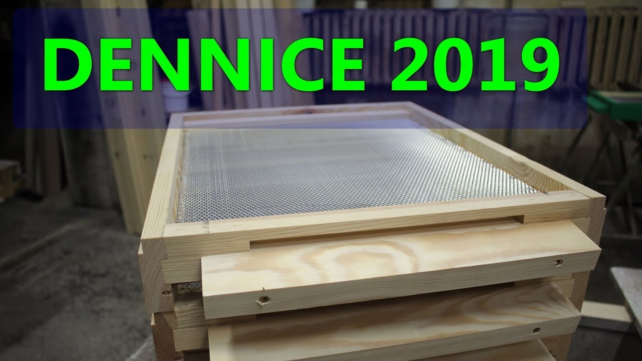 #49 Dennica ula 2019. Ul Dadanta