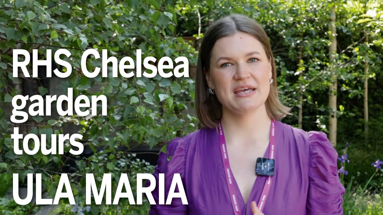 Chelsea Flower Show 2024: Ula Maria tells all about her Best in Show-winning forest bathing garden