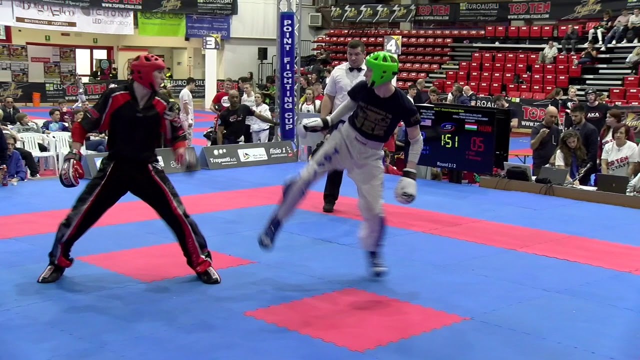 Elijah Everill v Roland Royal Veres  Pointfighting Cup 2018