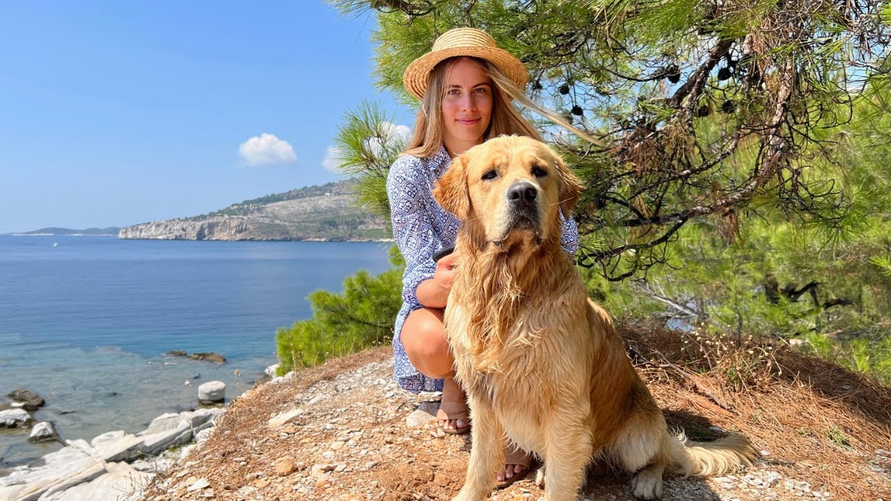 Watch this Dog Enjoy Sun, Water, and Splashing Waves!
