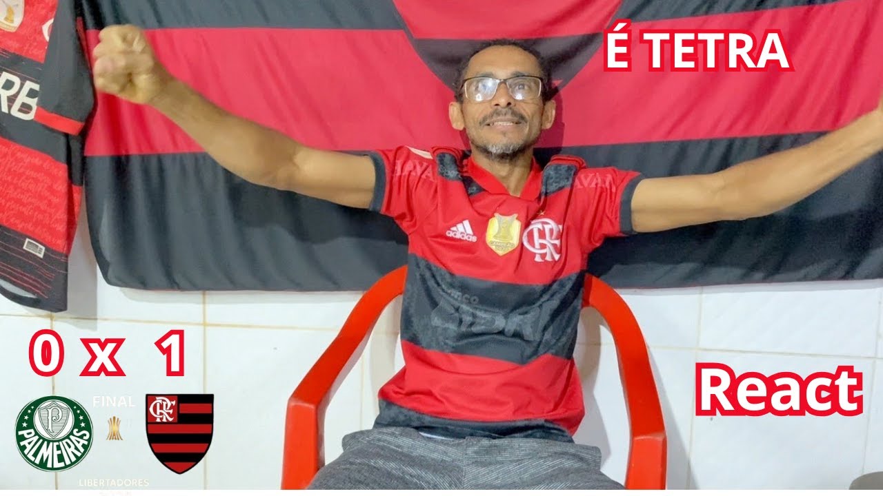 Reacões Palmeiras 0 x 1 Flamengo  - Flamengo Campaeão da Libertadores