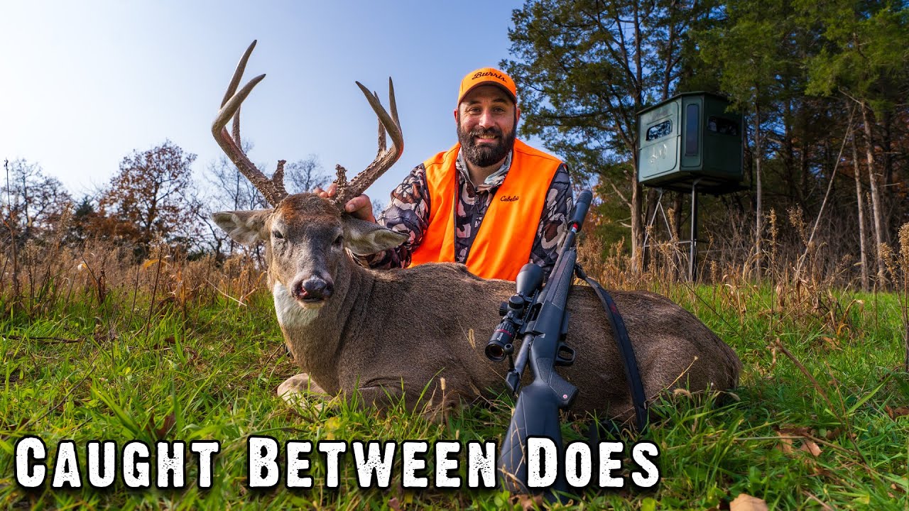 Short G2 Buck is Down! This Ridge Paid Off Big Time