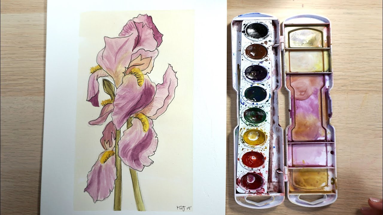 How to Draw and Paint an Iris with Watercolor
