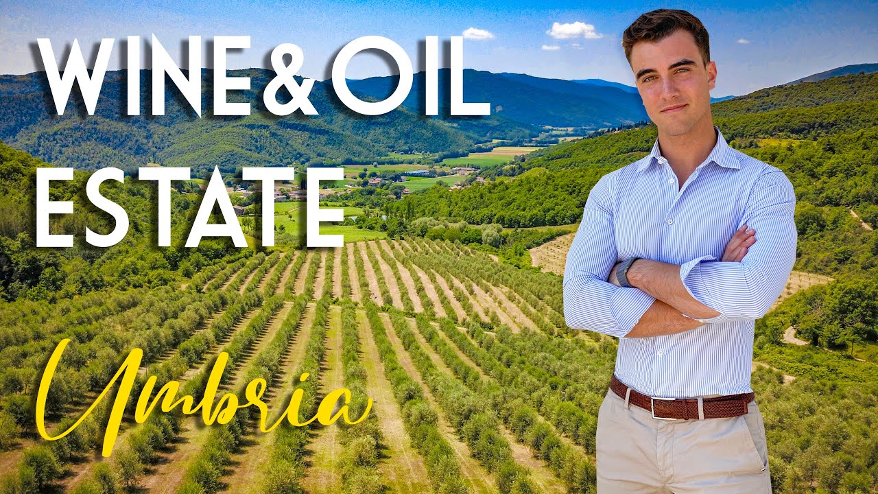 WINE AND OLIVE OIL ESTATE FOR SALE IN UMBRIA | ROMOLINI
