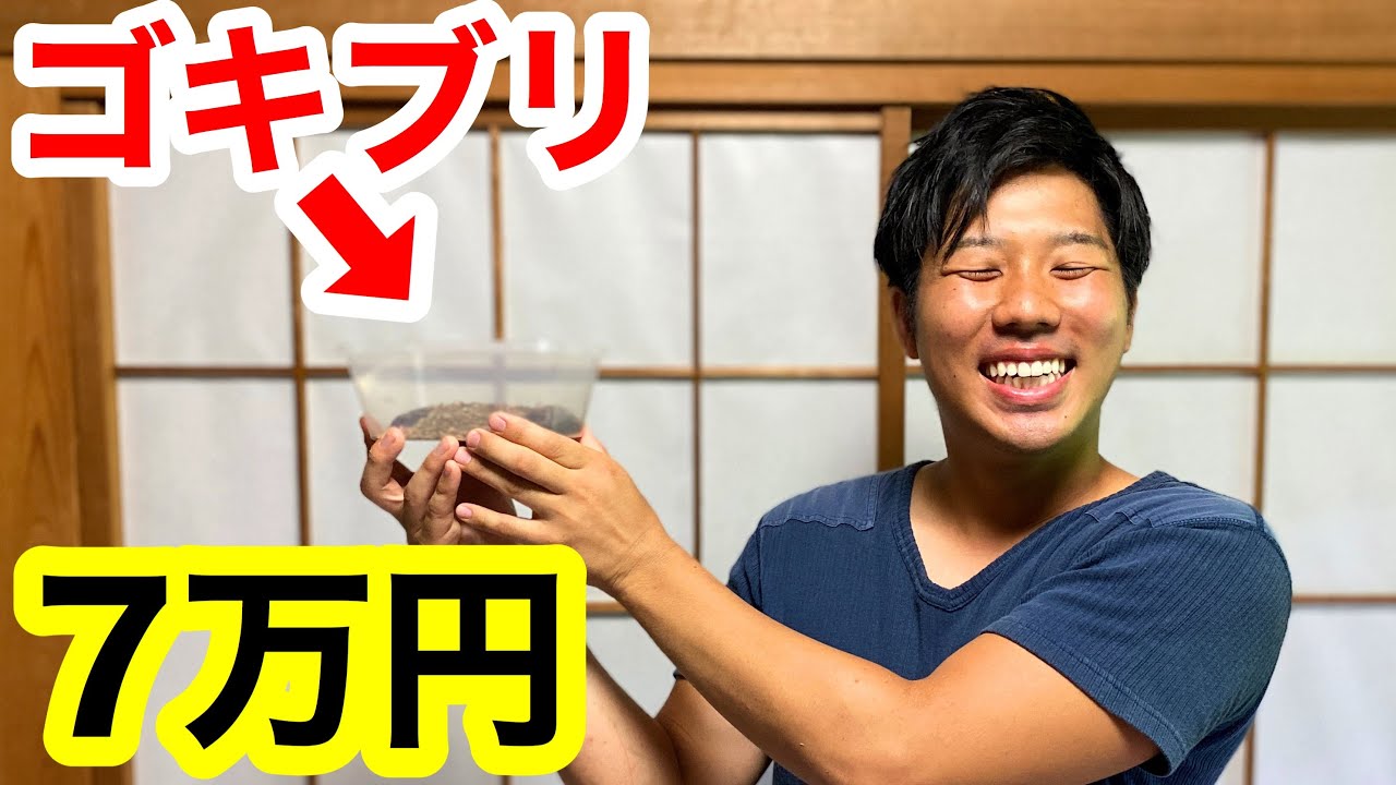 給付金が入ったので７万円のゴキブリを買いました