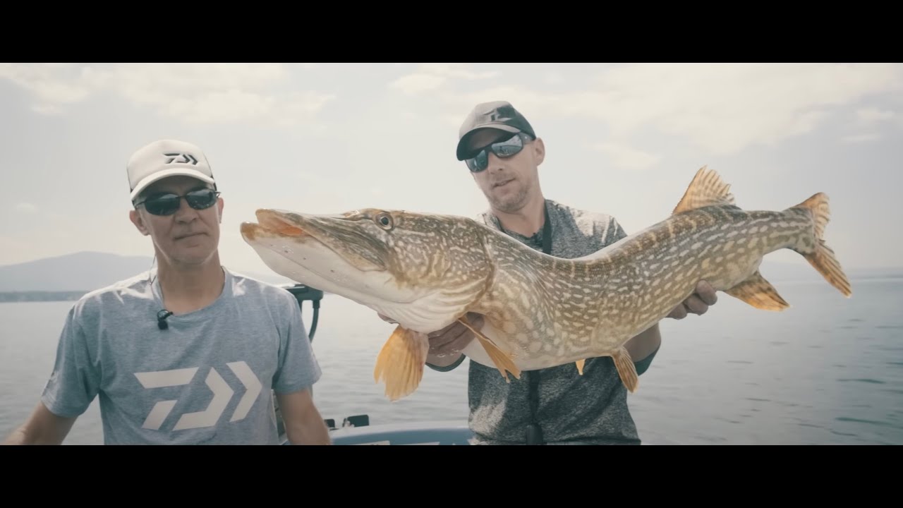 Traque des géants alpins avec Will & Tof - L'aventure Pêche | Daiwa