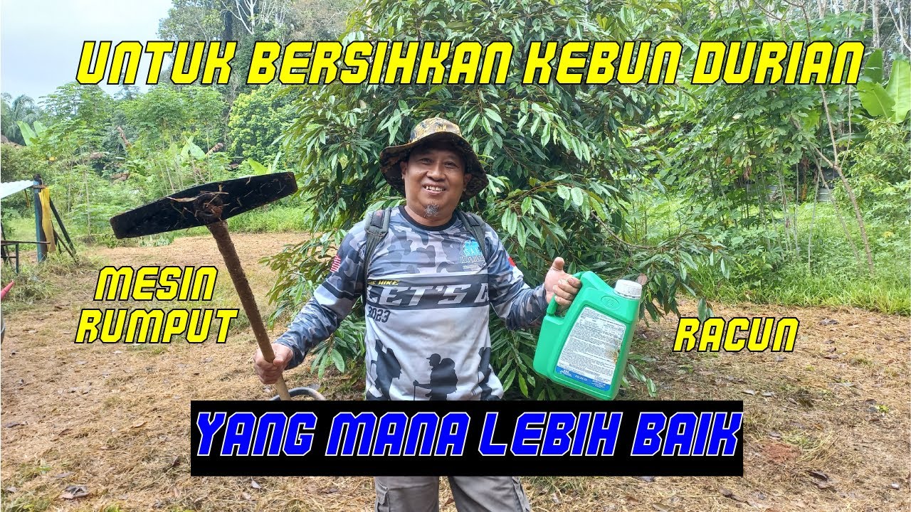 MESIN RUMPUT ATAU MERACUN | MANA LEBIN BAIK UNTUK CUCI KEBUN DURIAN | EP 79
