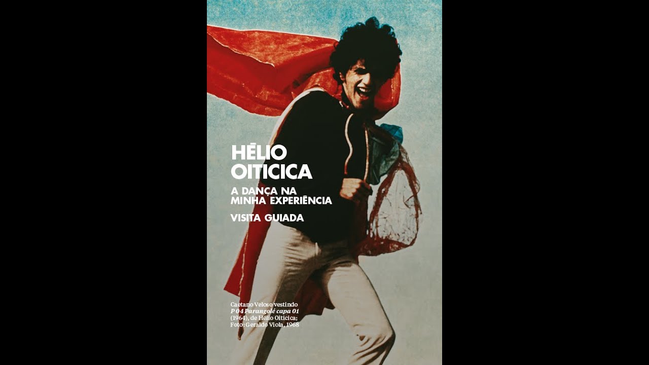 Visita guiada | Hélio Oiticica: a dança na minha experiência (legenda em inglês)