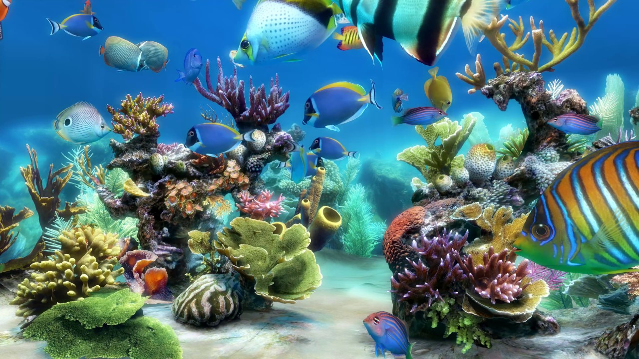 Sim Aquarium scene 1 (4K)