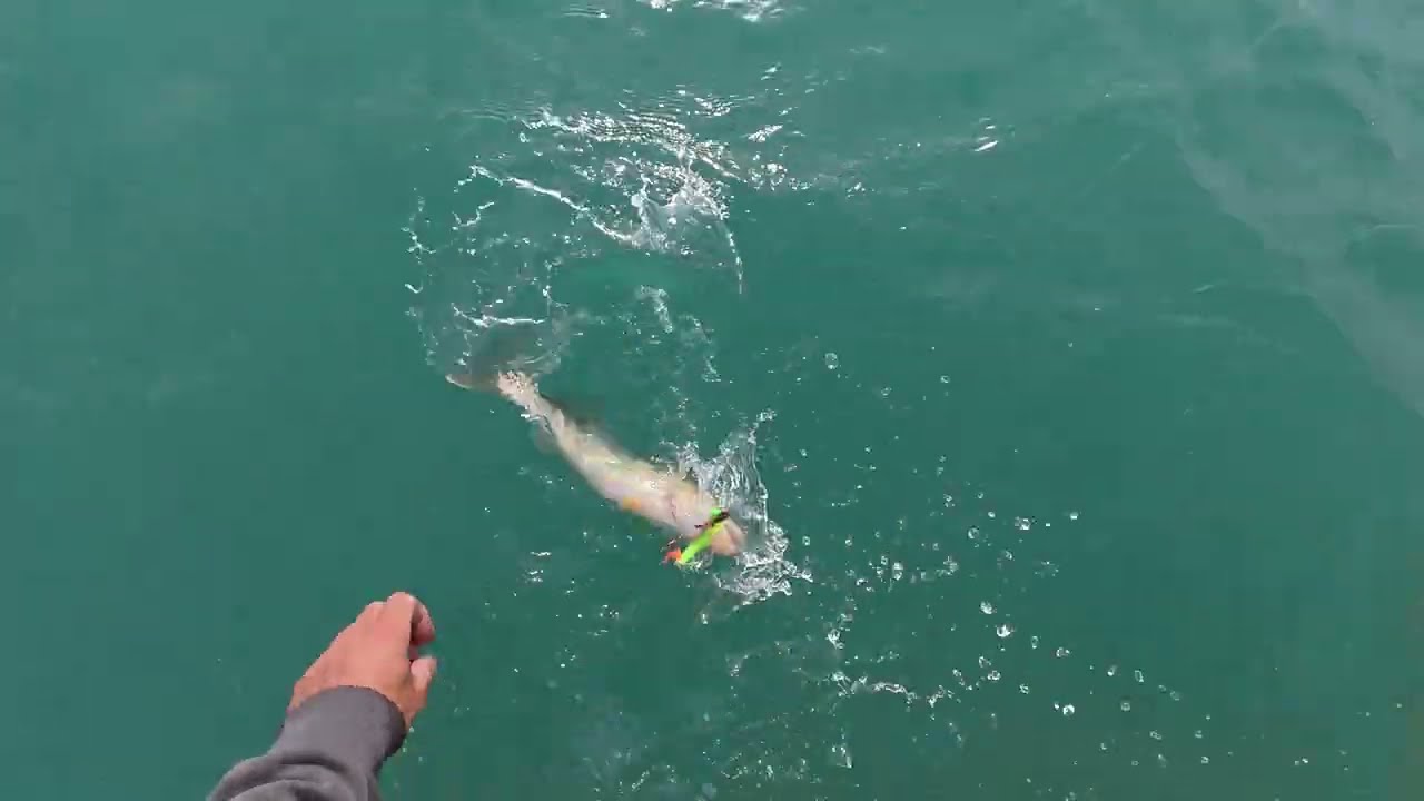 Walleye Fishing on the St Clair River