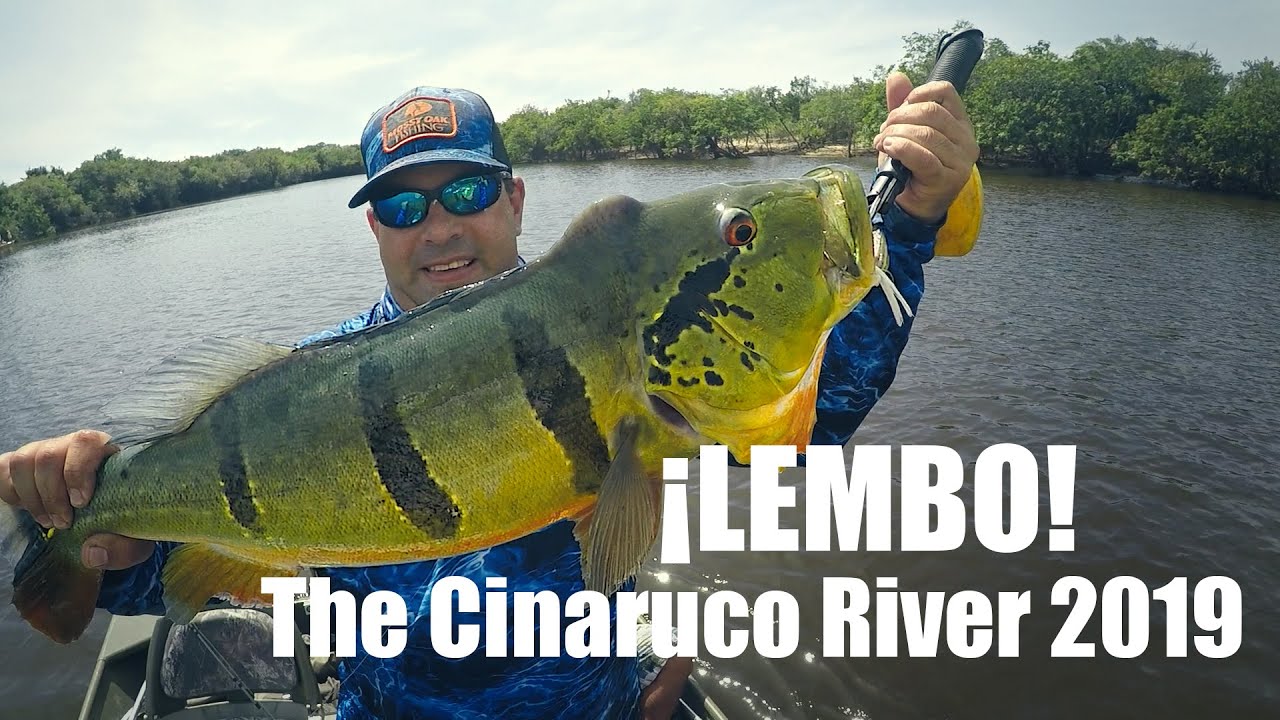 cinaruco river 1era parte