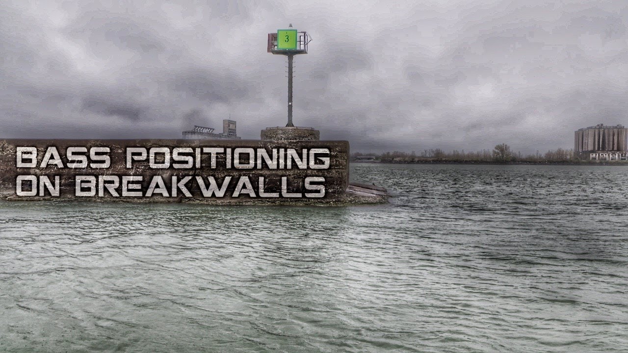 Understanding Fish Positioning on Breakwalls