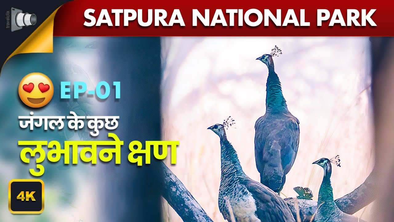EP-1 Satpura Tiger Reserve, Madhai Zone | National Park in Madhya Pradesh by Travelclix