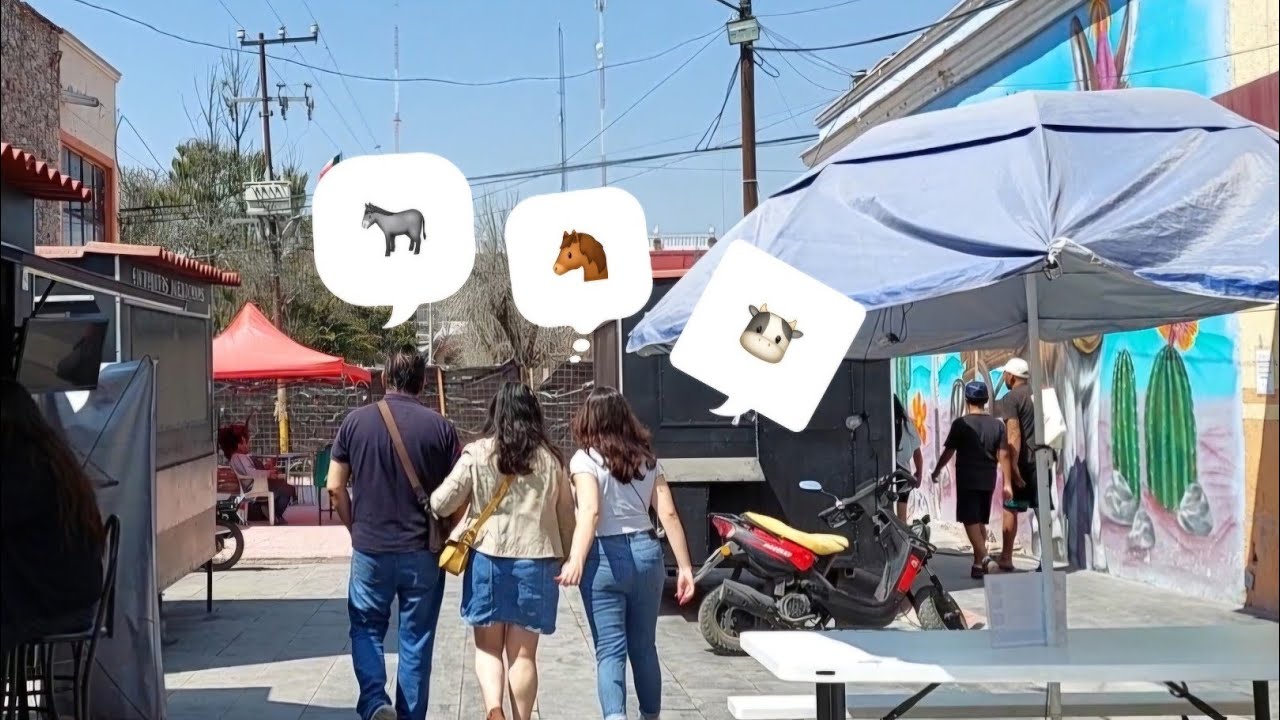 EL ANIMALITO QUE SOSTUVO LA ECONOMÍA . PRIMERA PARTE
