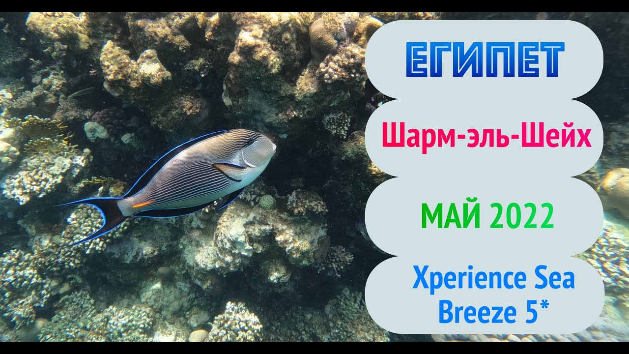 Майские праздники, Египет, 2022 | Отель Xperience Sea Breeze Resort