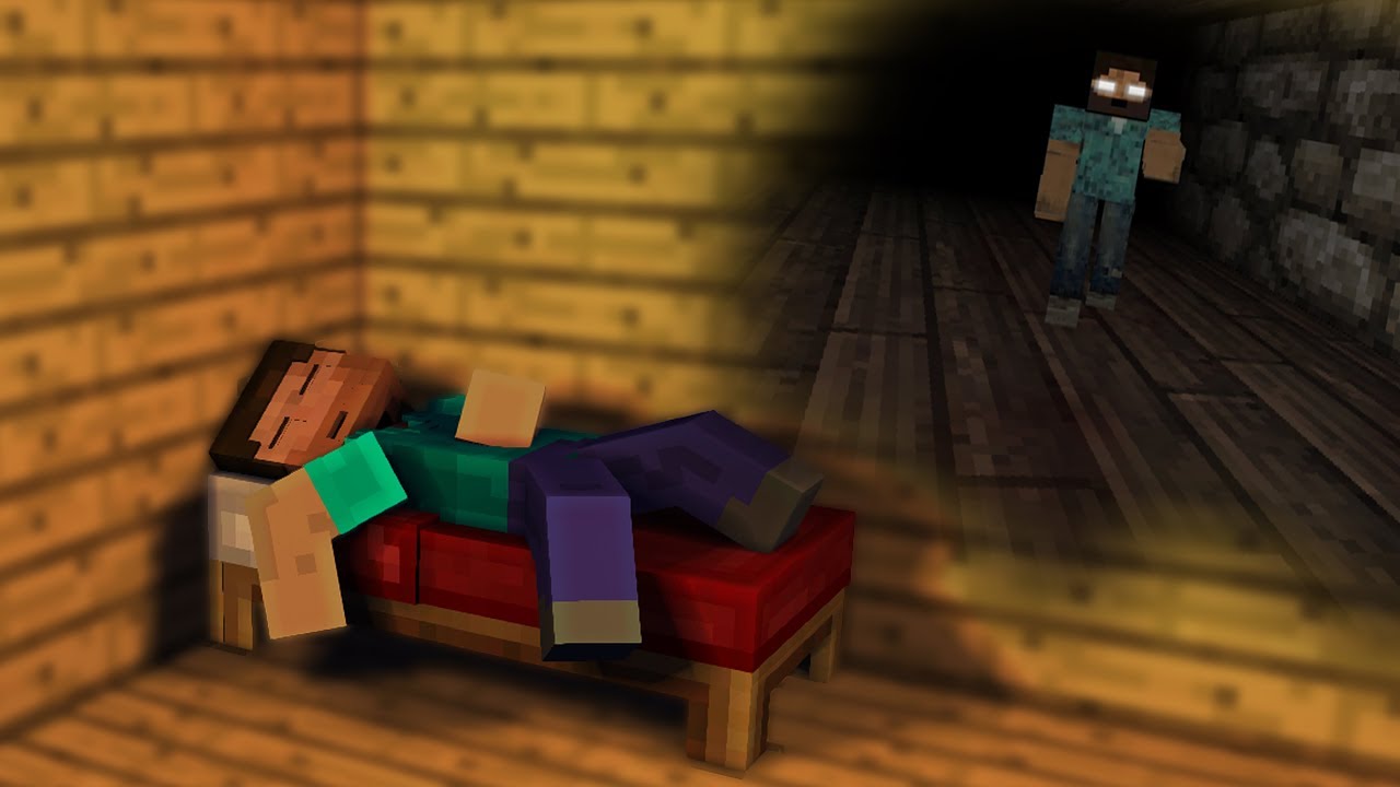 DIT IS WAT STEVE DROOMT IN MINECRAFT!