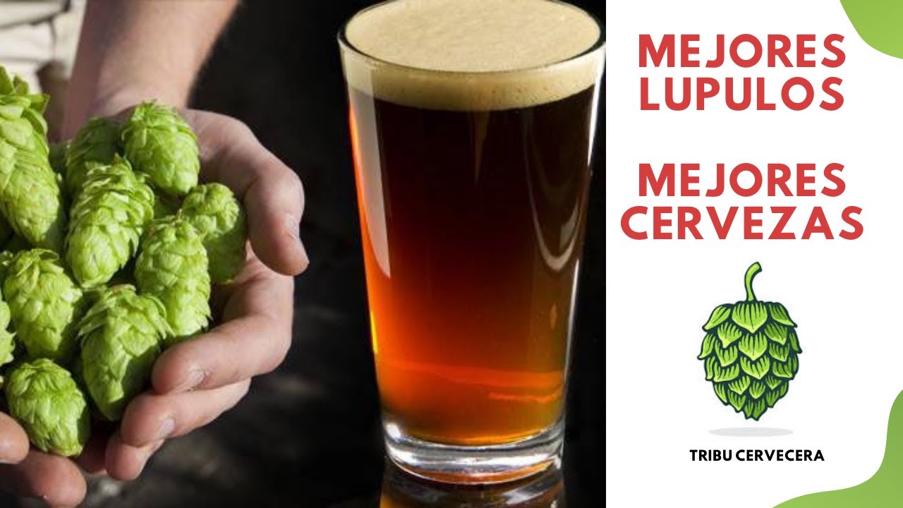 Mejores Lúpulos, Mejores Cervezas