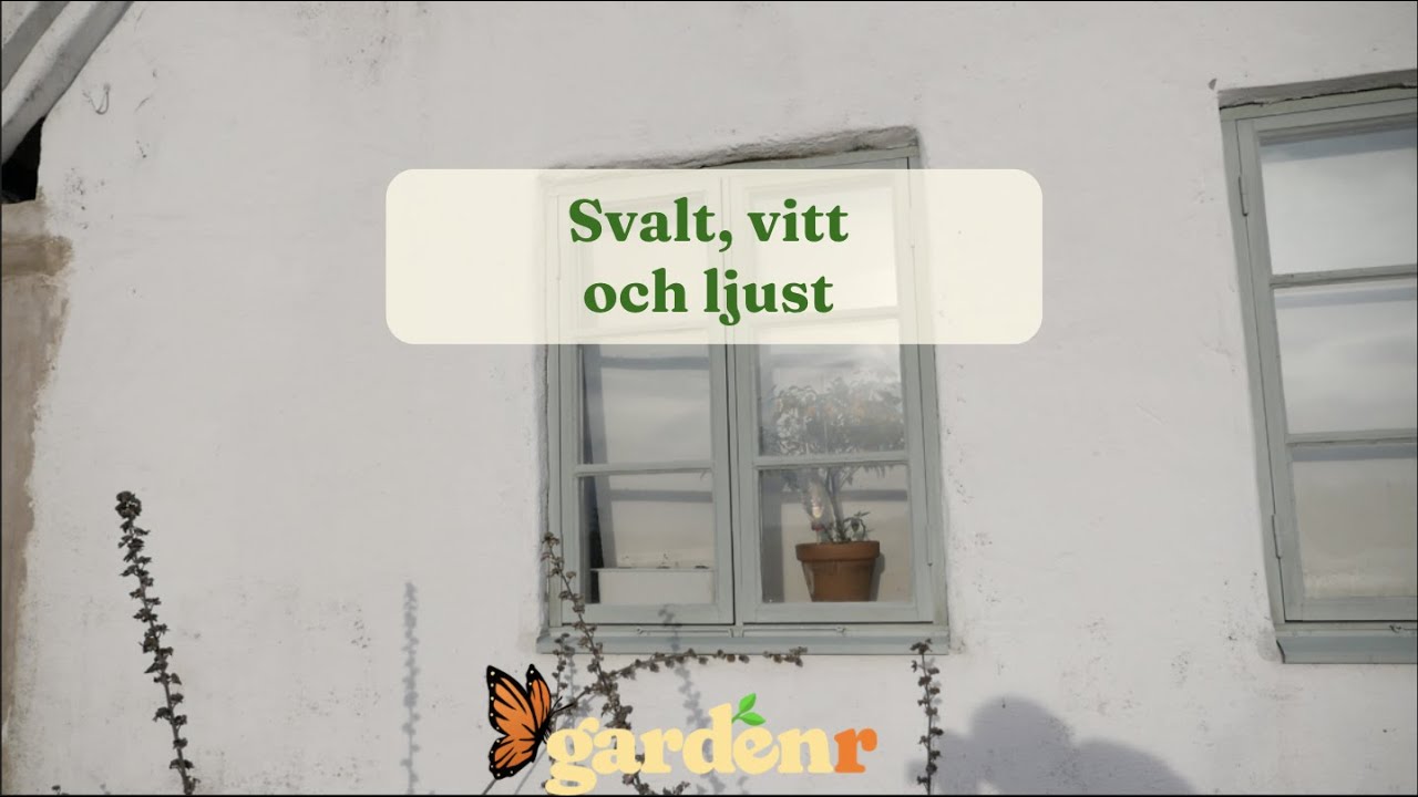 Svalt vitt och ljust f&ouml;r v&auml;xterna - Tr&auml;dg&aring;rdshacks med GardenR