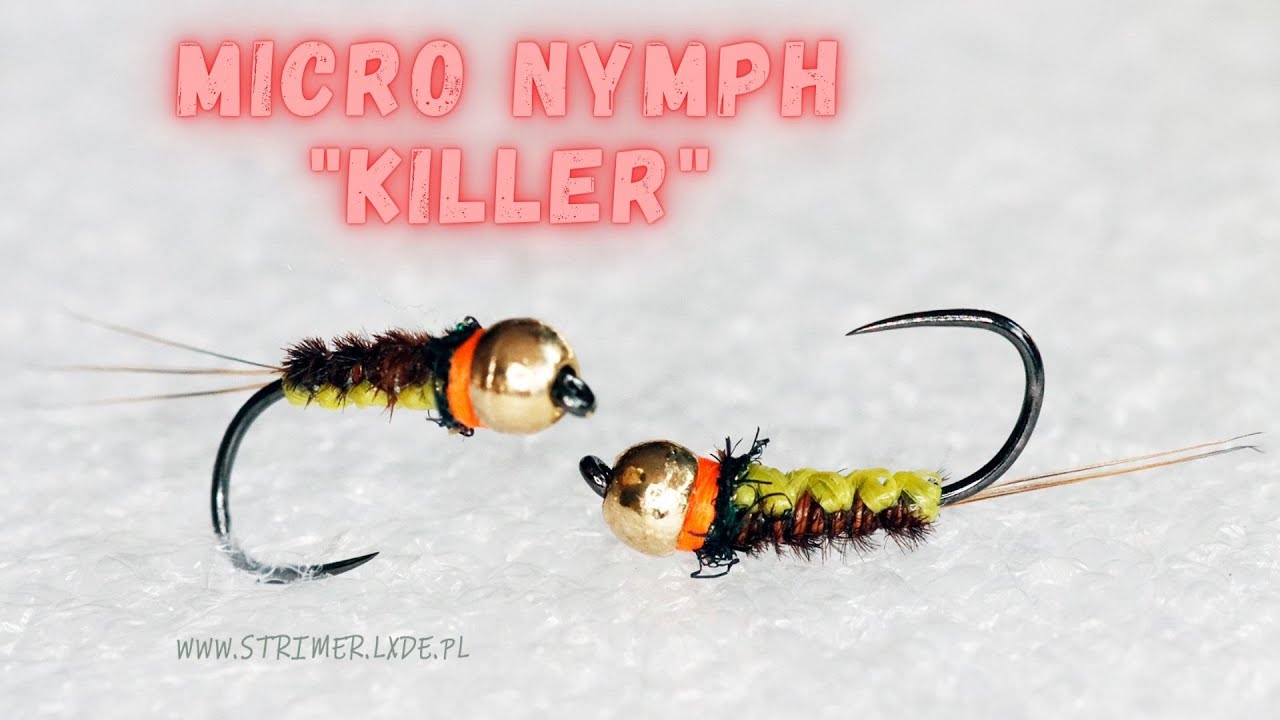 Micro nymph  