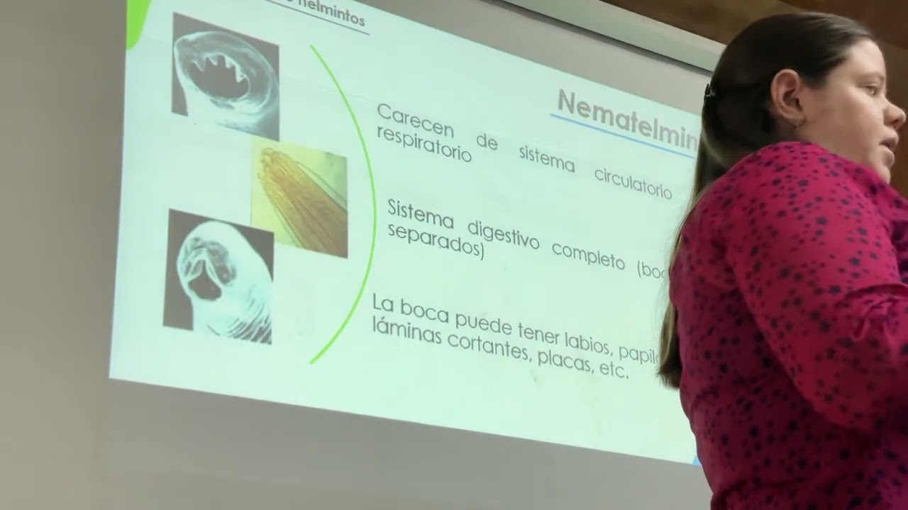 Generalidades de helmintos