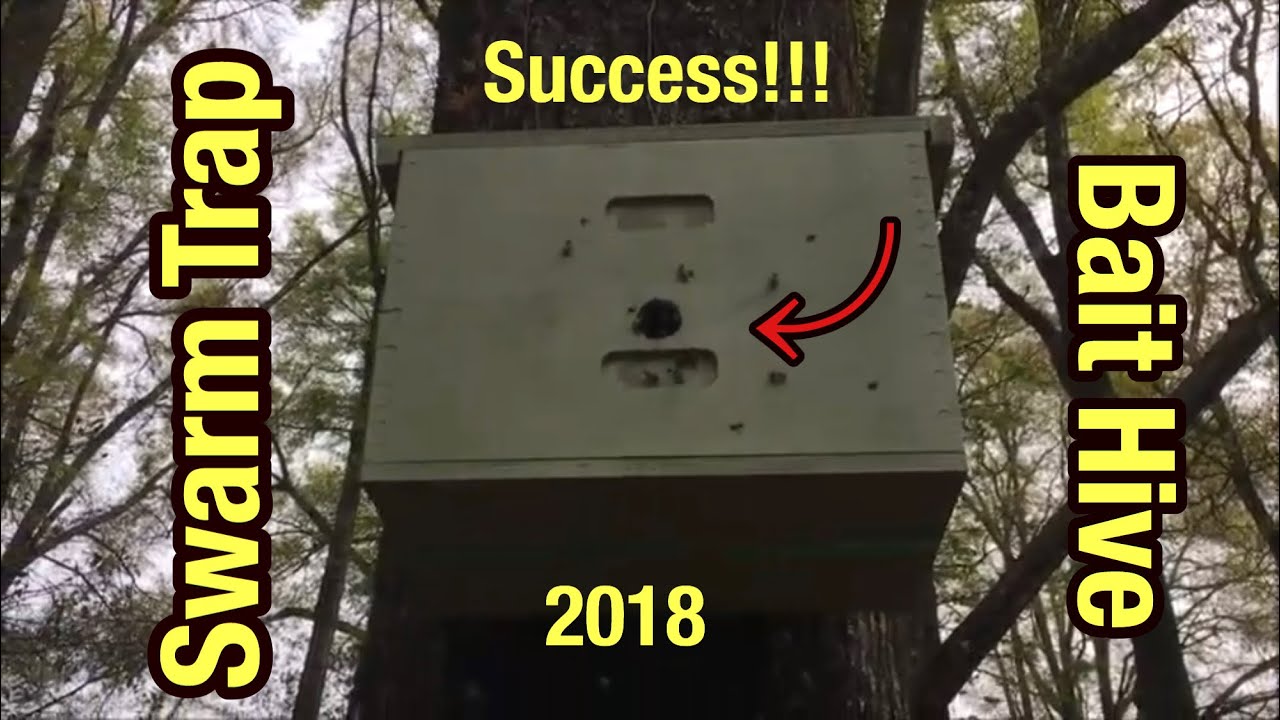 Swarm Trap Bait Hive Setup for Honey Bees - 2nd Edition