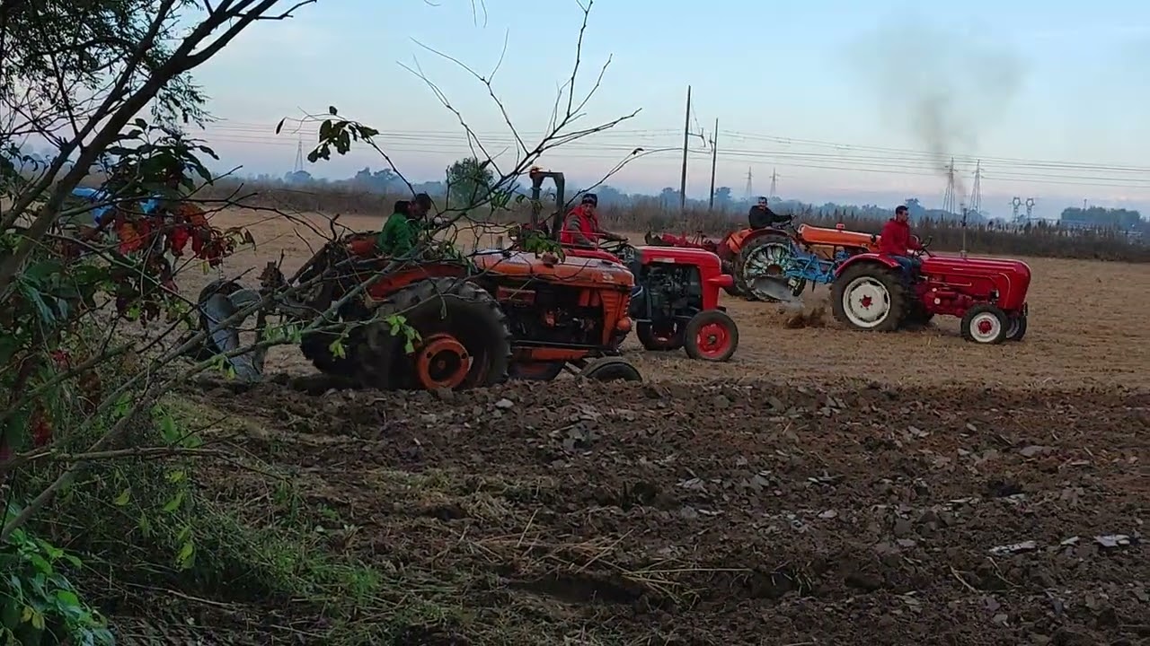 4 Raduno Lomellino trattori d epoca 2025 a Olevano di Lomellina 26 ottobre