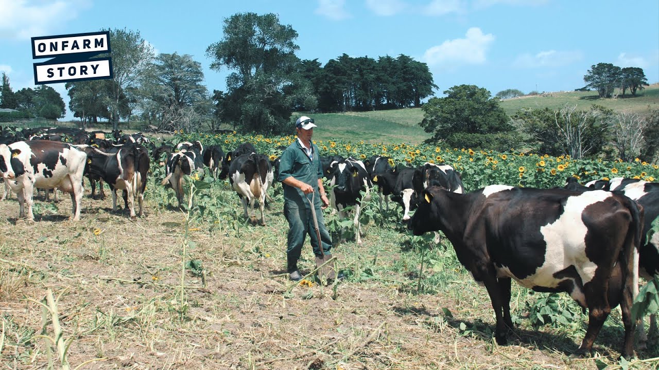Enhancing Soil Health – The Regen Ag Approach | On Farm Story