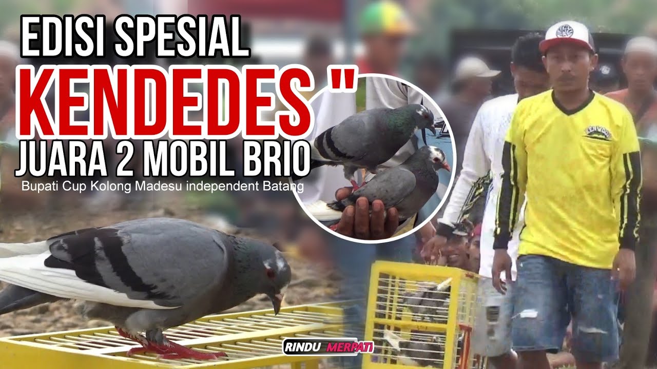 Jos...Aksi Kendedes" Dari Babak 2 Sampai Juara 2 🏆|Mobil Brio Bupati Cup Madesu Batang