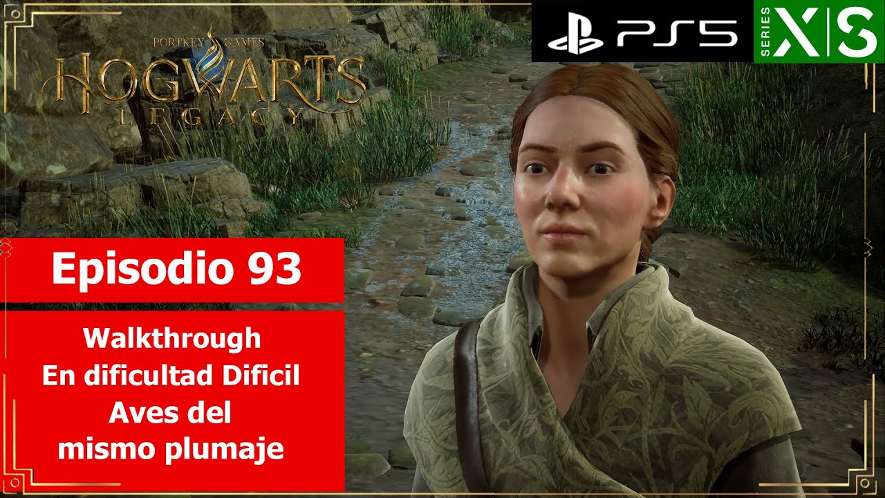 Hogwarts Legacy | Walkthrough - Episodio 93 | Aves del mismo plumaje