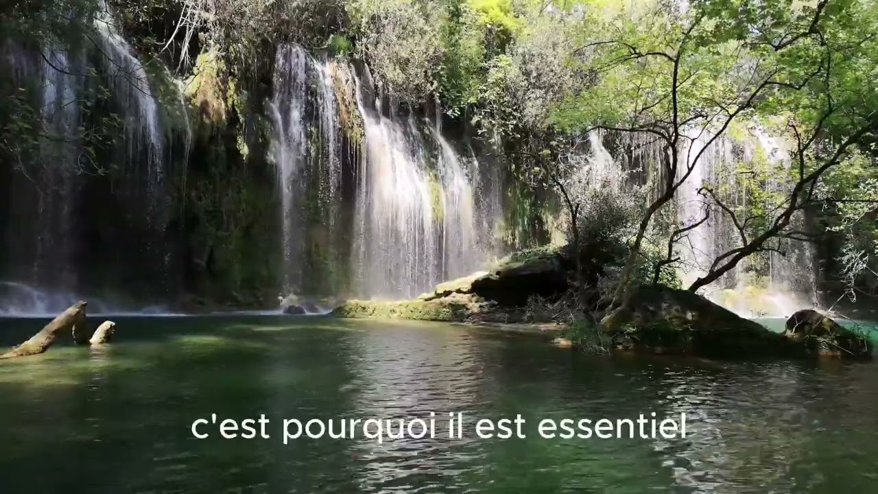 Mais il Devient