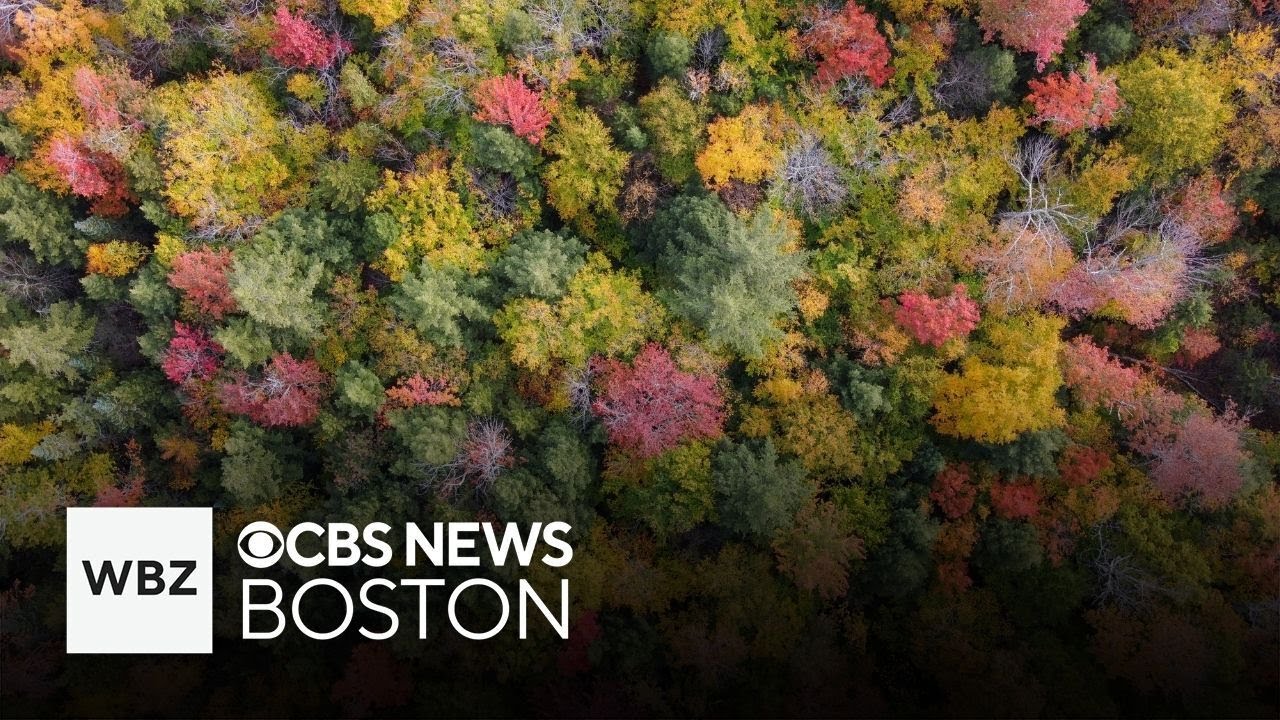 What is the fall foliage like at the White Mountains in New Hampshire?
