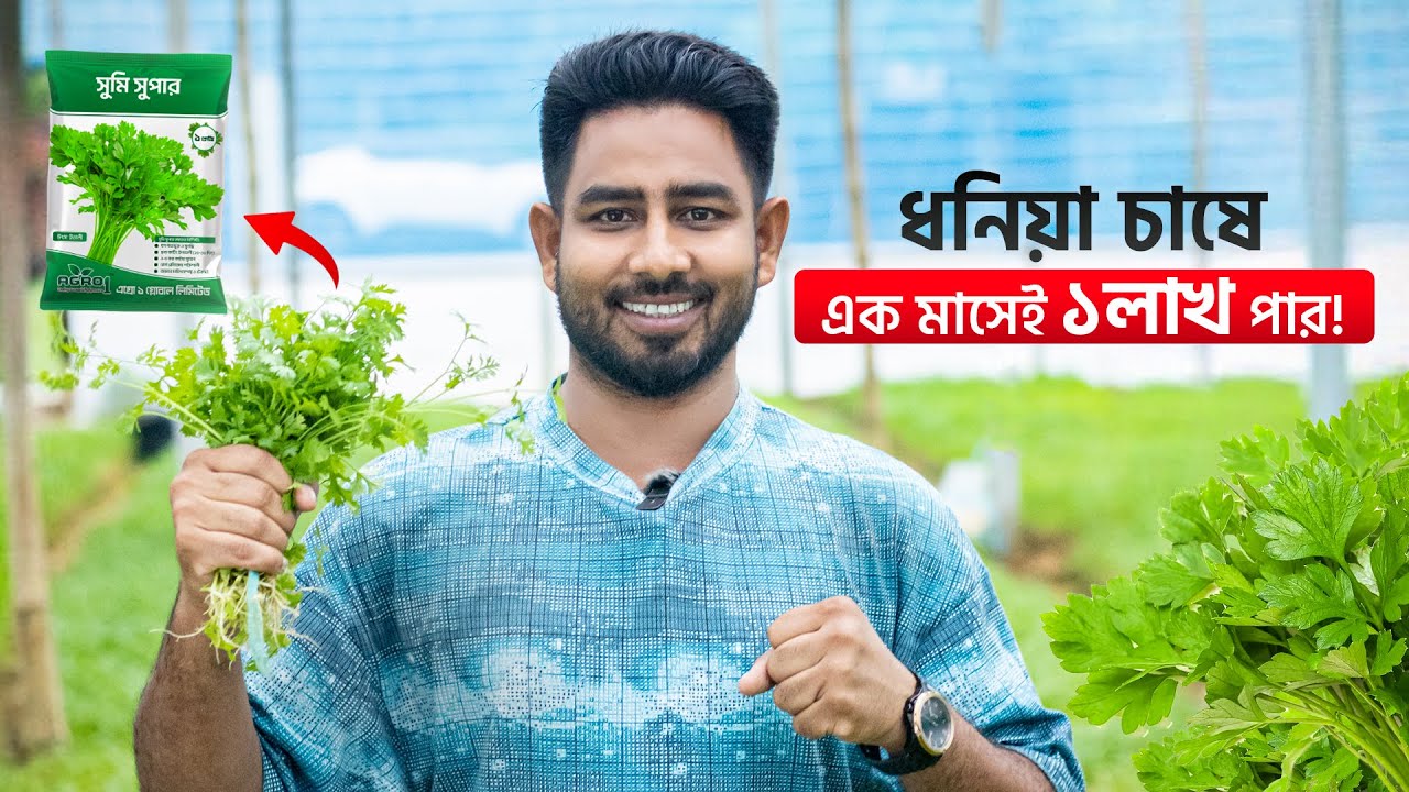 ধনিয়া চাষে, এক মাসেই হতে পারে লক্ষ টাকা পার!