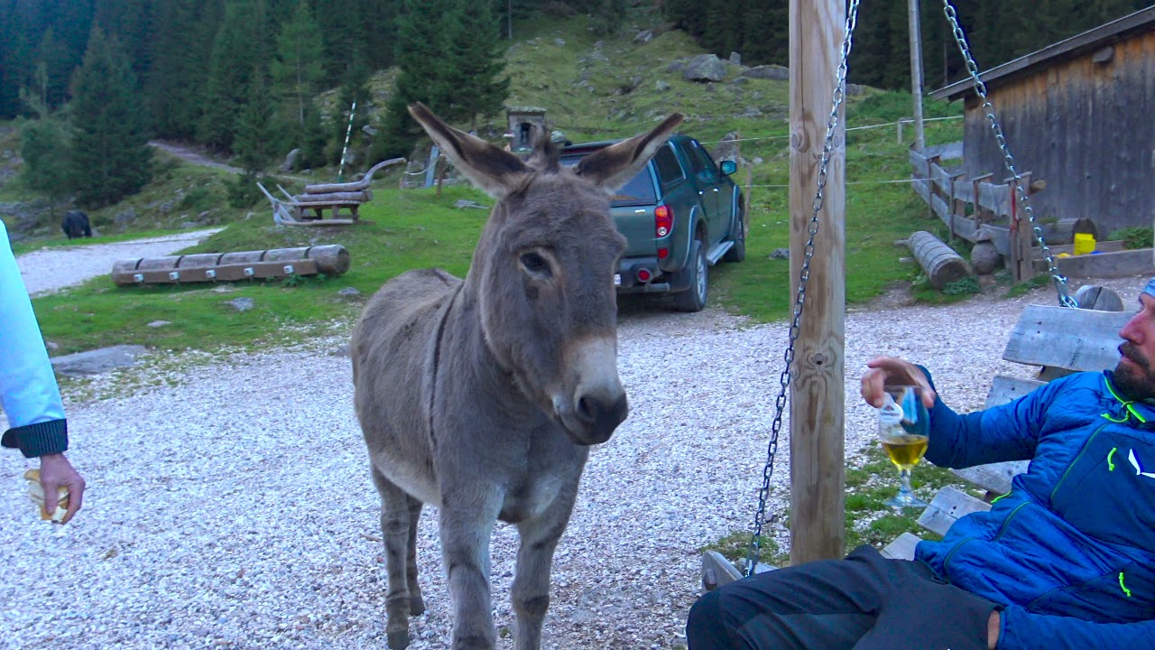 Cima Canzenagol - Cima Busa Alta  - Cima Cardinal