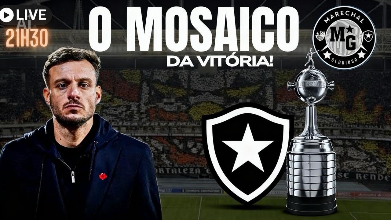 SEGUNDONA ALVINEGRA!  VAGA NO TAPETINHO! ANSELMI NA HORA D