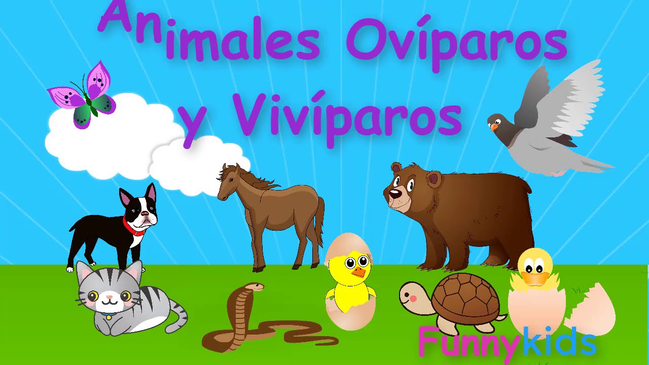 Animales  ovíparos y vivíparos para niños . Videos educativos para niños.