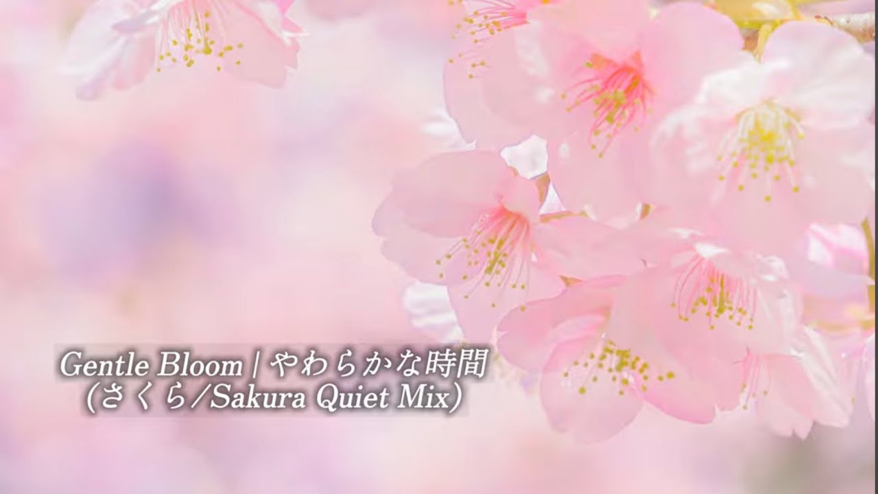 Gentle Bloom | やわらかな時間（さくら/ Sakura Quiet Mix）