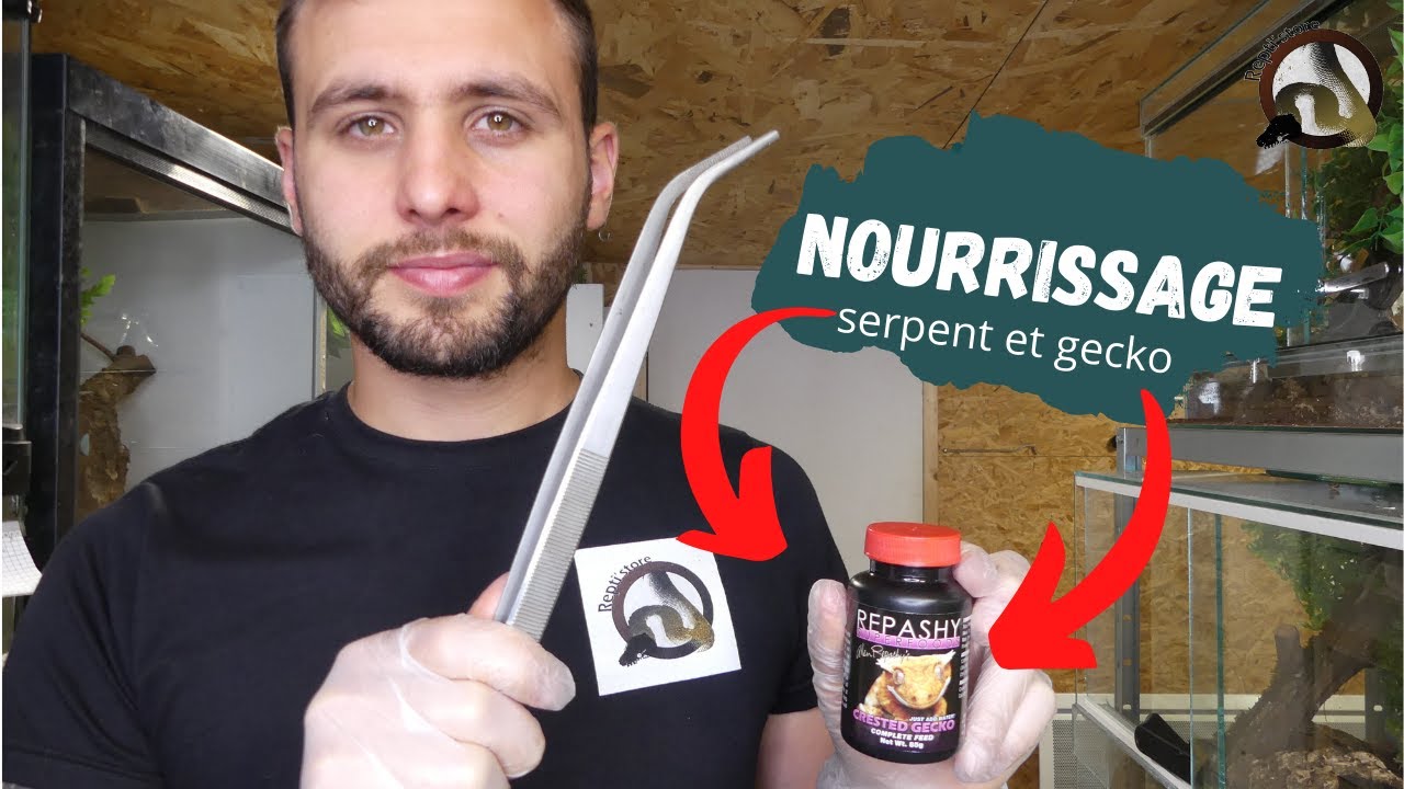 Les TUTOS de Repti'store #1 : L'ALIMENTATION !!!!!