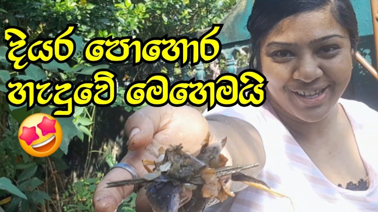 දියර පොහොර හැදුවේ මෙහෙමයි ව්ලෝග් එකෙන්🔥 #viralvideo #Homegardening #vlog