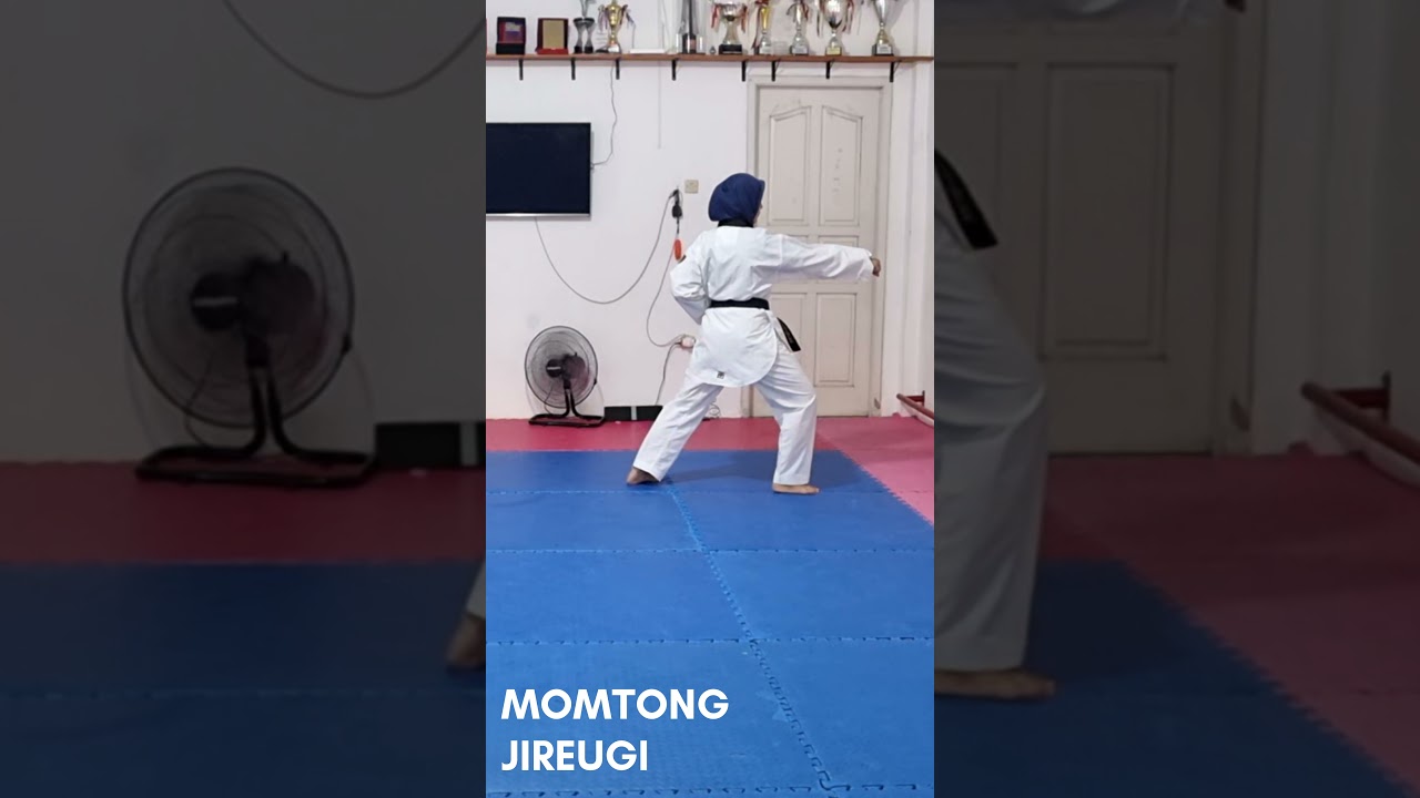 Materi Sabuk Putih : Momtong Jireugi