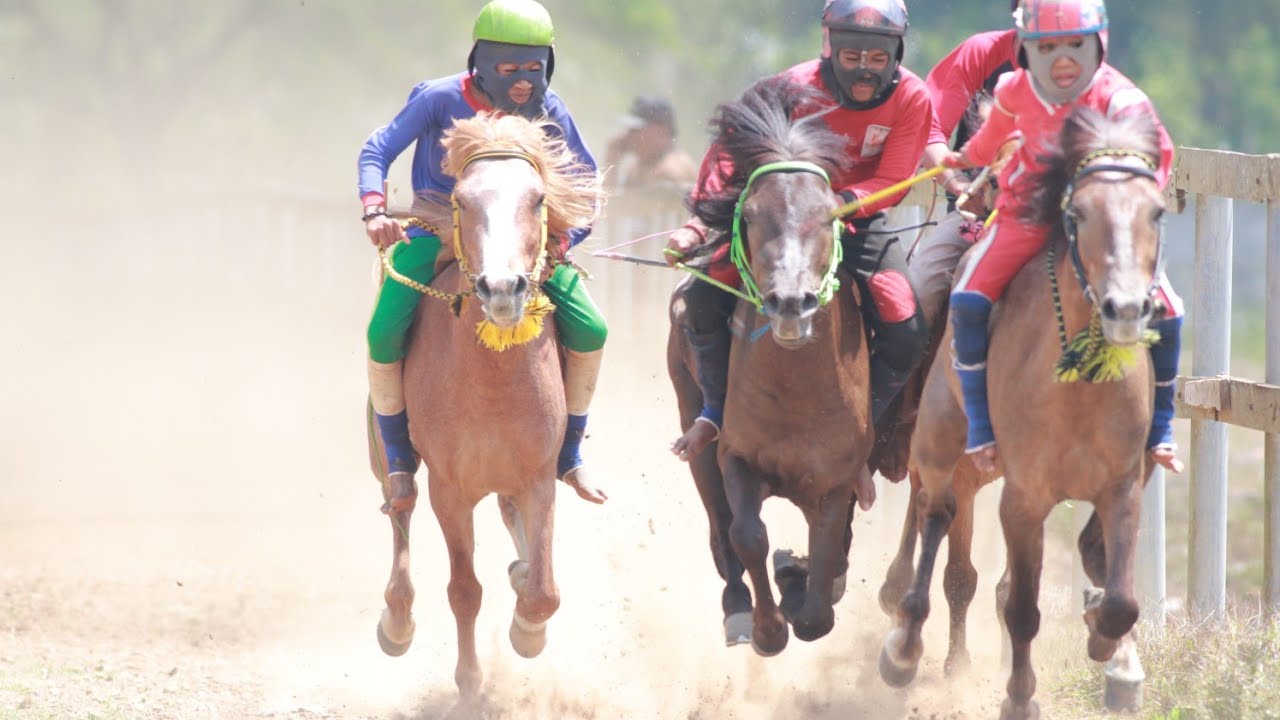Putaran Pertama Pacuan Kuda Lintasan Dompu NTB 19 Mei 2024 #racing #kudapacuindonesia #horseracing #