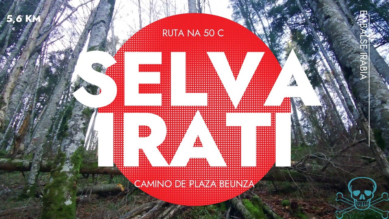 SELVA DE IRATI,  Un Tesoro del PIRINEO, Embalse de IRABIA, Ruta de Senderimo, Plaza Beunza SLNA 50-C