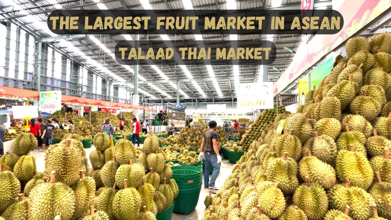 [🇹🇭Thailand Food] The Largest Fruit Market in ASEAN - Talaad Thai Market