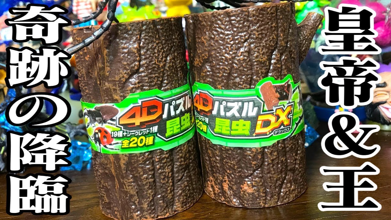 ヤバイやつらがダブル降臨「昆虫パズル4Dデラックス」くみたて開封レビュー