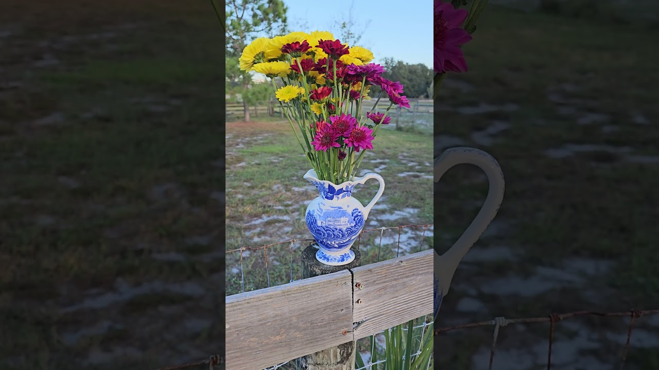 thrift store gives new ideas for cheap flower vases